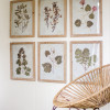 Kalalou 16.5 x 21.5 in. Leaf Prints Under Glass Framed Art - Set of 6
