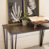 Kalalou 19 x 24.5 in. Black & White Fern Prints Under Glass Framed Art - Set of 2