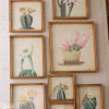 Kalalou Cactus Flower Prints Under Glass Framed Art - Set of 9