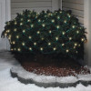 Celebrations 282M4912 Mini LED Net Lights 100 Bulbs - Clear