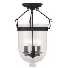 Livex Lighting Ceiling Mount - Black