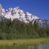 Panoramic Images Trees along a river Near Schwabachers Landing Grand Teton National Park Wyoming USA Poster Print by Panoramic Images - 36 x 12