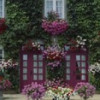Panoramic Images Flowers Breton Home Brittany France Poster Print by Panoramic Images - 36 x 12