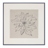 Framed Poinsettia Print Under Glass 20"SQ