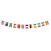 Beistle International Flag Banner - Pack of 12
