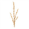 Ilex Berry Spray (Set of 2)