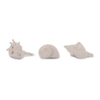 Sea Shell Filler Decor (Set of 12)