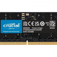 Crucial RAM Module