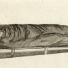 Apparatus for Communicating Heat To Bodies Apparently Dead. Gent Mag July 1790 Poster Print Large - 42 x 20