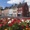 Flowers Along A Street In A Residential Area - Jedburgh - Scottish Borders - Scotland Poster Print