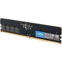 Crucial RAM Module