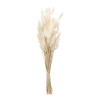 Bunny Tail Bundle (Set of 2)