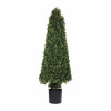Potted Boxwood Cone Topiary 51"H