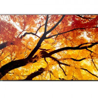 Sharp PN-M322 MULTISYNC PN-M322 - 32IN LED LCD 1920 X 1080 24/7 HIGH HAZE