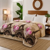 Paris Blanket King Size Eiffel Tower Super Soft Plush Parisian Floral Blanket